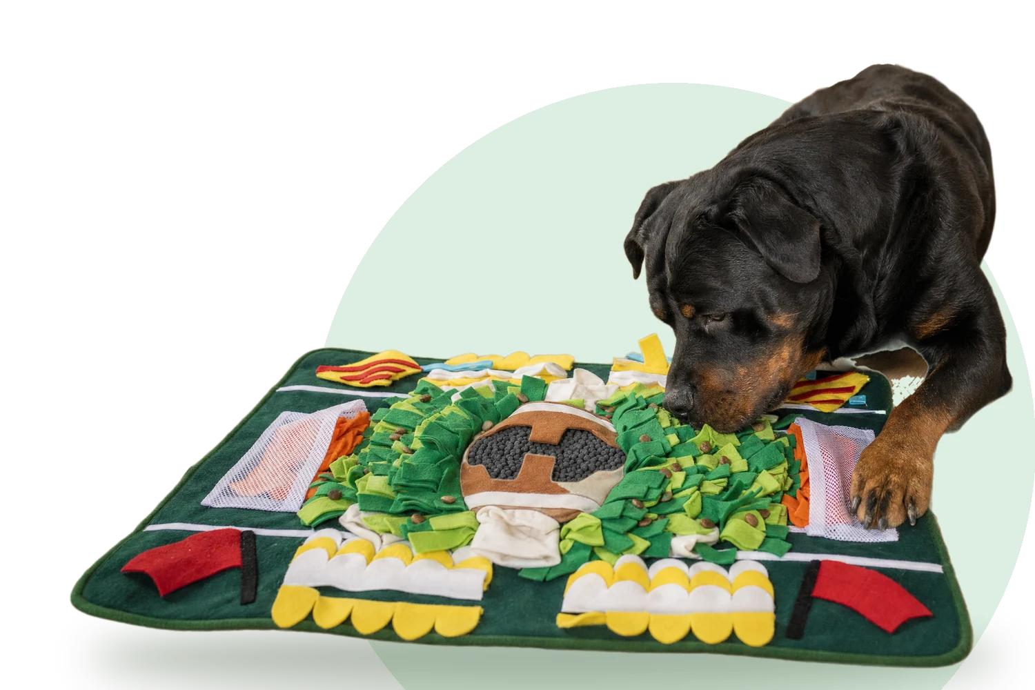 Rottweiler zoekt brokjes op de Snuffelmat Voetbalveld
